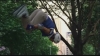 Filename=ScreenShot057.jpg
Filesize=157KiB
Dimensions=640x360
Date added=Jan 26, 2006 ScreenShot057.jpg
