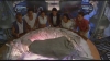 Filename=ScreenShot198.jpg
Filesize=158KiB
Dimensions=640x360
Date added=Jan 26, 2006 ScreenShot198.jpg