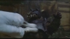 Filename=ScreenShot346.jpg
Filesize=117KiB
Dimensions=640x360
Date added=Jan 26, 2006 ScreenShot346.jpg