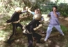 Filename=skugsbattle.jpg
Filesize=27KiB
Dimensions=512x352
Date added=Jan 19, 2009 skugsbattle.jpg