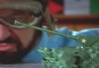 Filename=woodyplays.jpg
Filesize=14KiB
Dimensions=512x352
Date added=Jan 19, 2009 woodyplays.jpg