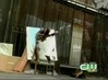 Filename=inothemirror.jpg
Filesize=31KiB
Dimensions=640x472
Date added=Jan 15, 2009 inothemirror.jpg