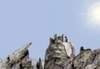 Filename=coomand_center.jpg
Filesize=32KiB
Dimensions=396x274
Date added=Feb 01, 2006 coomand_center.jpg