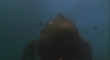 Filename=ScreenShot320.jpg
Filesize=101KiB
Dimensions=640x352
Date added=Jan 26, 2006 ScreenShot320.jpg