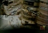 Filename=ScreenShot207.jpg
Filesize=53KiB
Dimensions=352x240
Date added=Jan 26, 2006 ScreenShot207.jpg